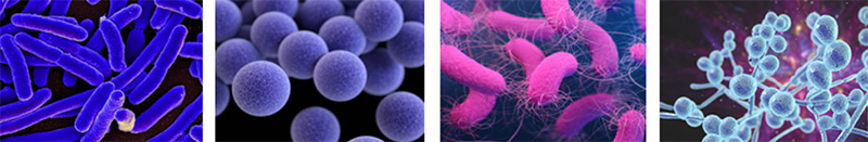 ISO 17516 化妆品 微生物学 微生物限度