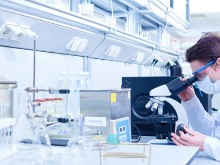 ISO 17516 化妆品 微生物学 微生物限度