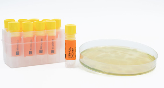 ISO 21149化妆品中需氧嗜温菌检测