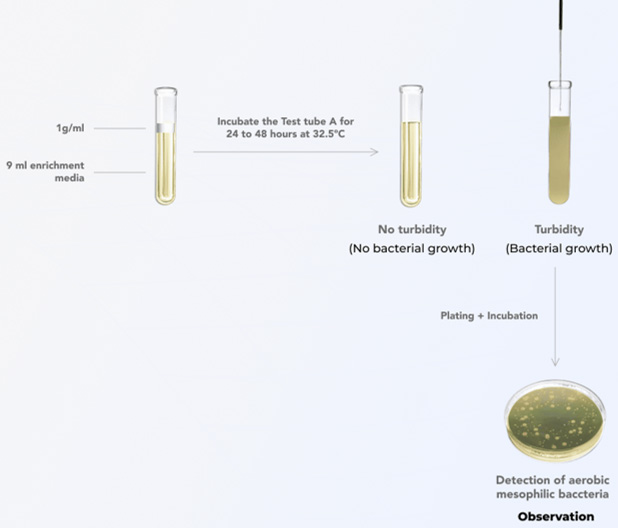 ISO 21149化妆品中需氧嗜温菌检测
