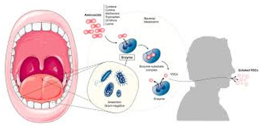 TCOCIA 9减轻口臭试验