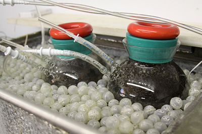 BPI 美国可生物降解认证