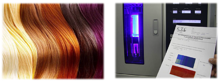 毛发及相关组织功效测试服务