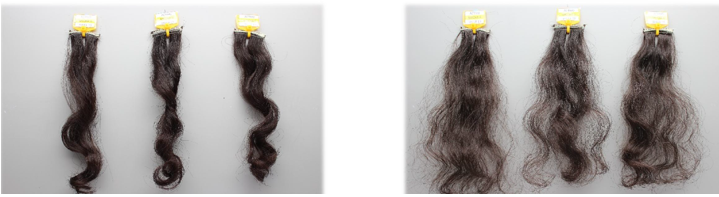 毛发及相关组织功效测试服务