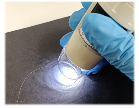 毛发及相关组织功效测试服务