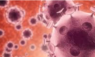 化妆品免疫毒性试验方法