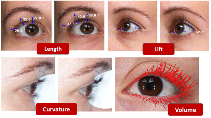 彩妆（Make-up）--功效测试方案