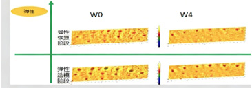 加乘延长医美效果护肤品—皮肤弹性和皮肤紧致效果评价方案