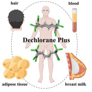 欧盟通过关于POPs法规中得克隆(DP)的新限制要求