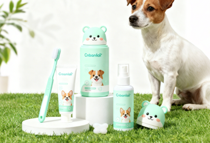 宠物口腔护理品中国合规攻略