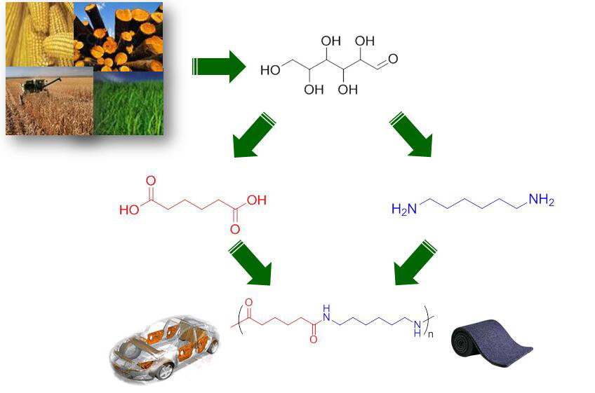 重磅消息！绿色环保高性能生物基聚酰胺内饰材料研制成功