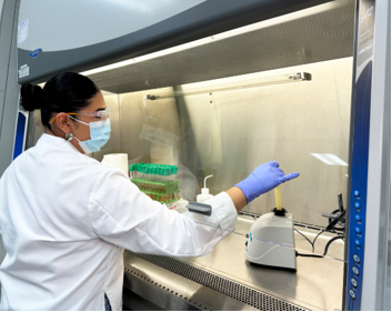 化妆品（护肤品）防腐效能测试（Preservative Efficacy Test）