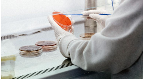 化妆品（护肤品）防腐效能测试（Preservative Efficacy Test）