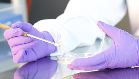 化妆品 皮肤吸收体外试验方法