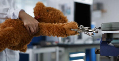 毛绒玩具美国CPC证书办理指南